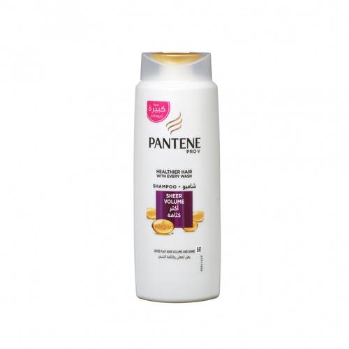 Pantene shampoo 600ml assorted